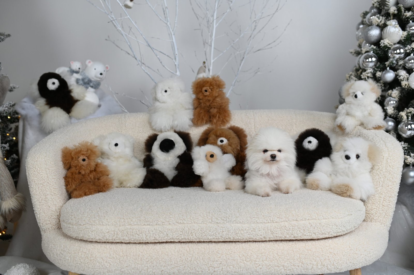 DSC_3920 Alpakos kailio meškutis "Teddy", 40cm, įvairių spalvų - Image 1