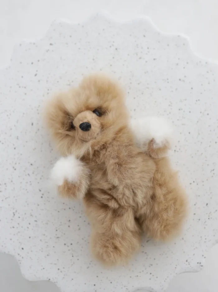 alpacosdreams.lt alpakos vilnos meskutis 13