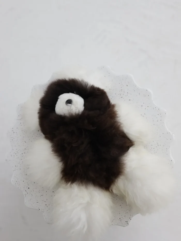 alpacosdreams.lt alpakos vilnos meskutis 6
